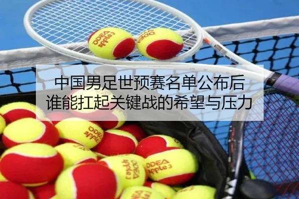 中国男足世预赛名单公布后 谁能扛起关键战的希望与压力