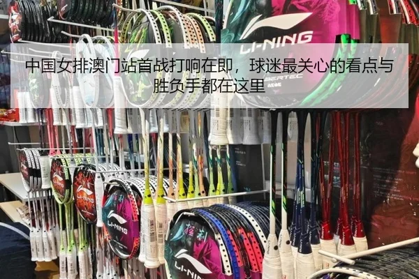 中国女排澳门站首战打响在即，球迷最关心的看点与胜负手都在这里