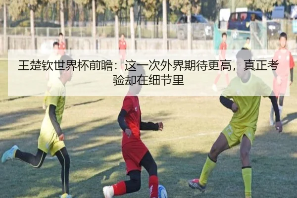 王楚钦世界杯前瞻：这一次外界期待更高，真正考验却在细节里